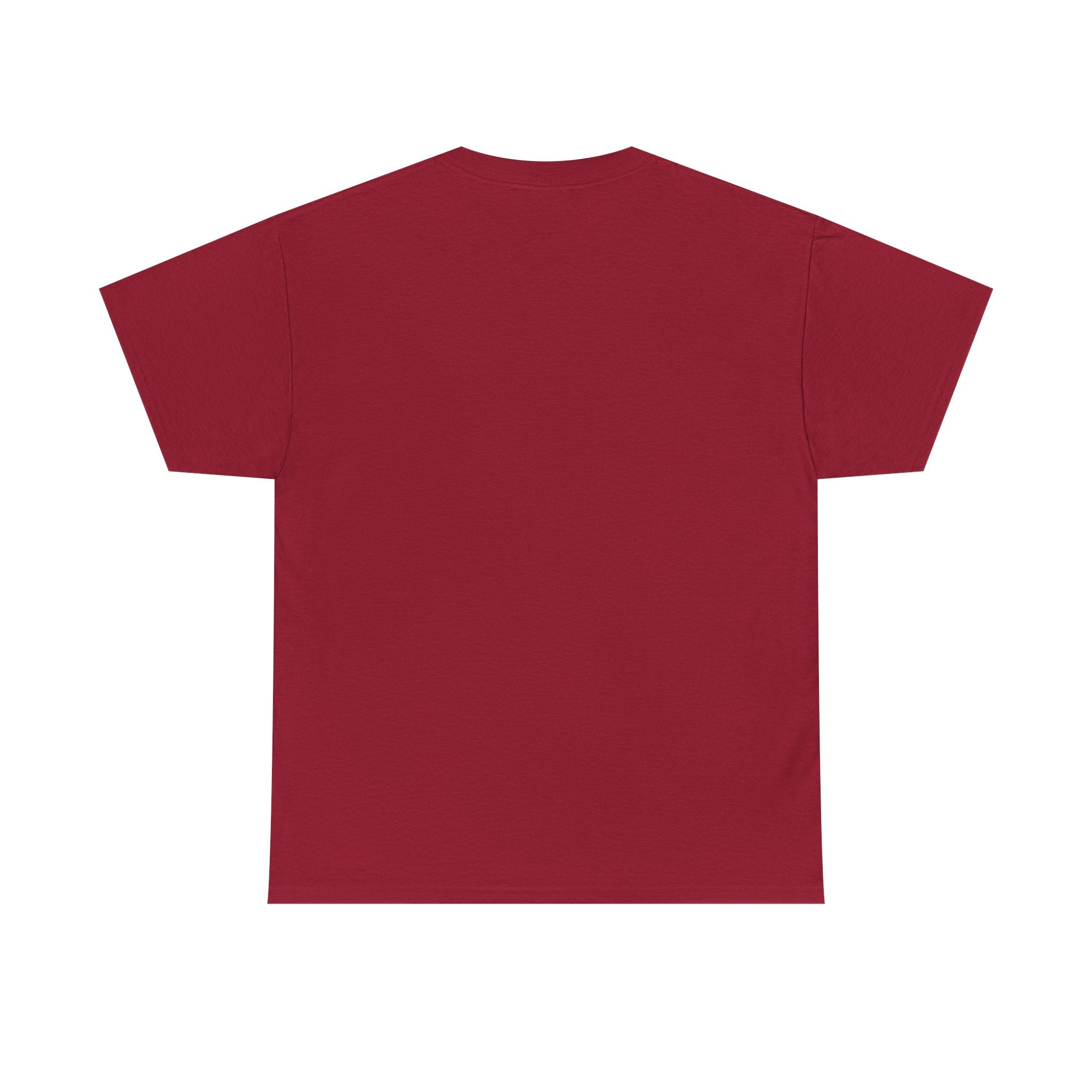 Lebron James 76ER’s Graphic Shirt - Philadelphia Basketball Tee