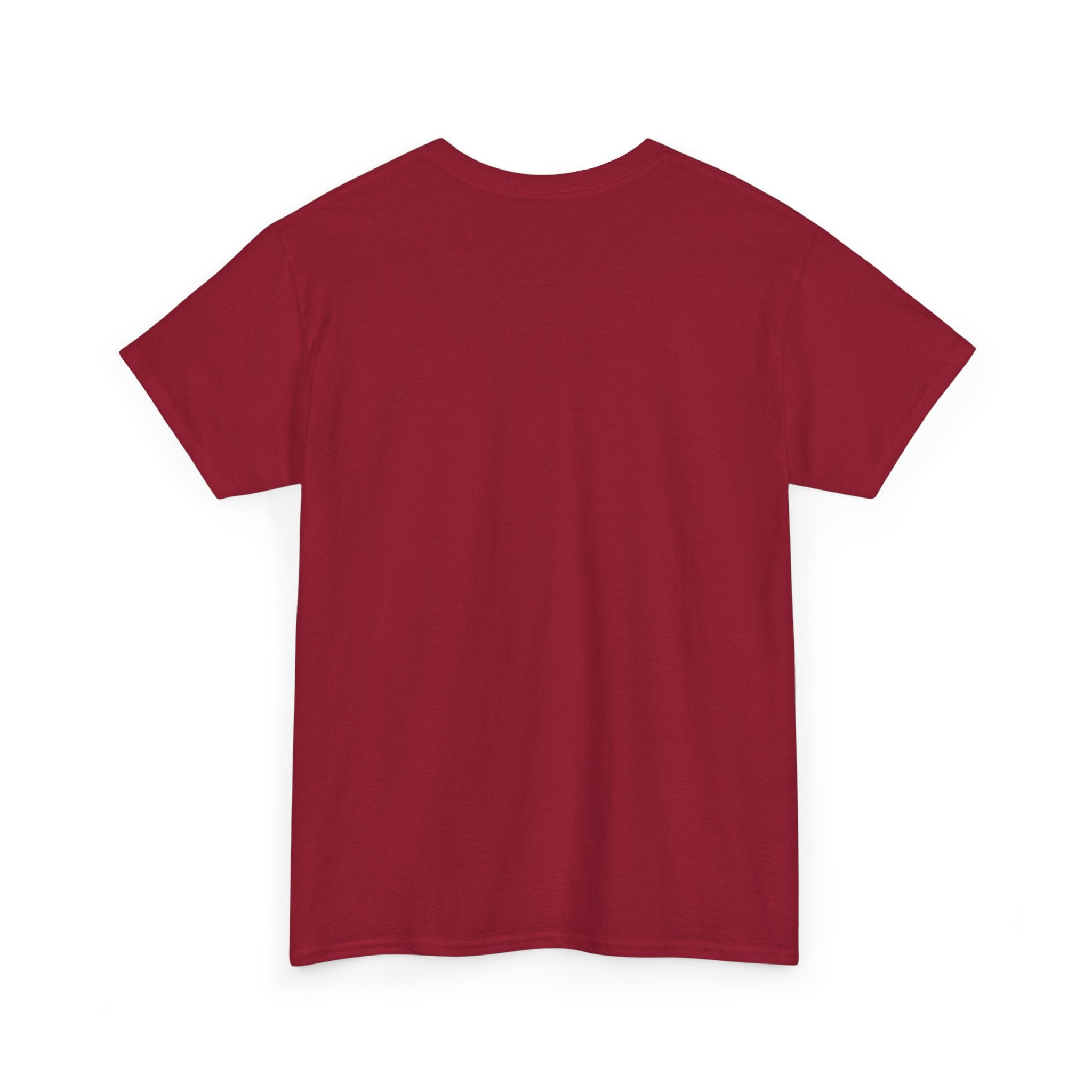 Lebron James 76ER’s Graphic Shirt - Philadelphia Basketball Tee